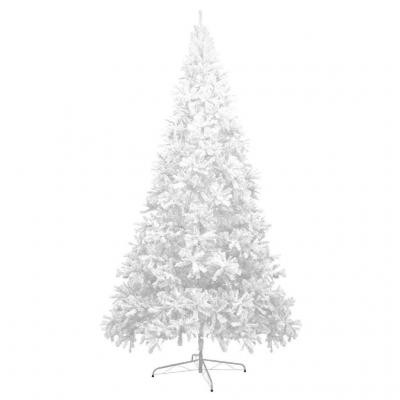 Sapin blanc 400cm nocturnologie 1