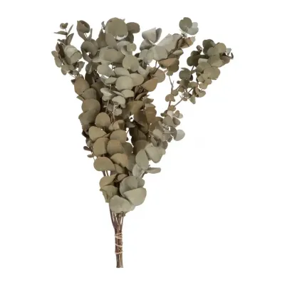 Location fleurs sechées
