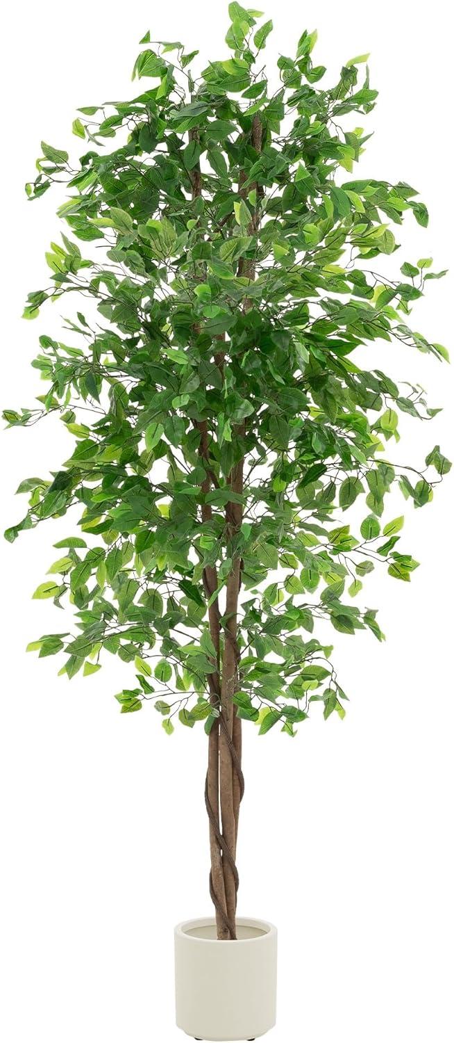 Arbre location 2m