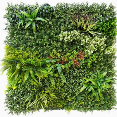 Mur vegetale a louer chez noc