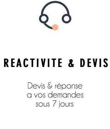 Reactivite 1